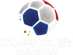 Copa 2001 Sênior